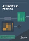 AI Safety in Practice