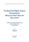 Fundamental Rights Impact Assessments: What are they? How do they work?